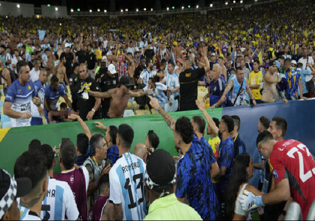 Brazil Argentina fight 110124