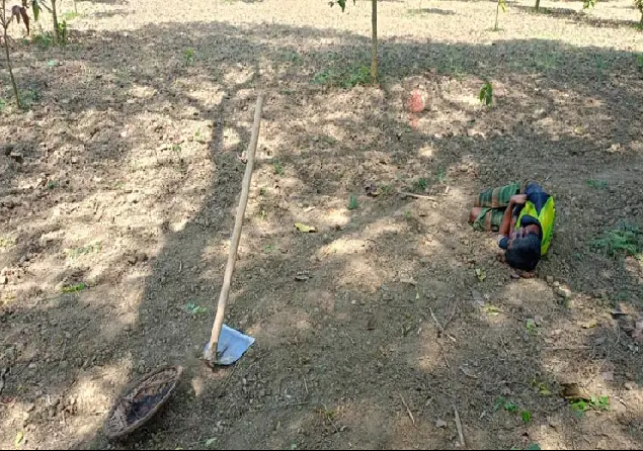 Climate Change Effect on Chuadanga