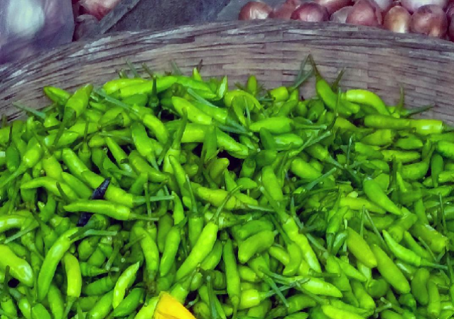 Green Chilly Price in Nougaon