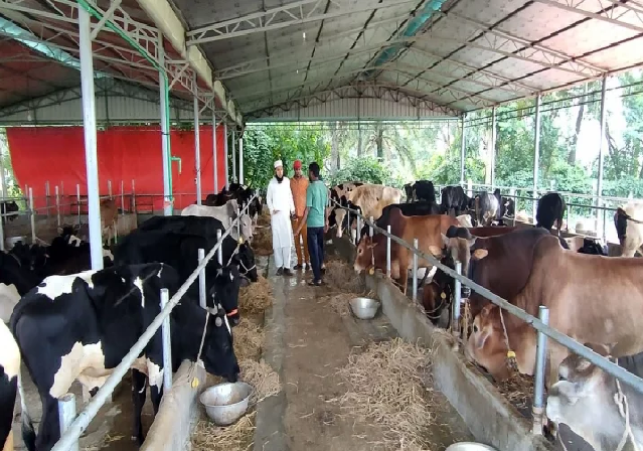 Nougah Dairy Farms