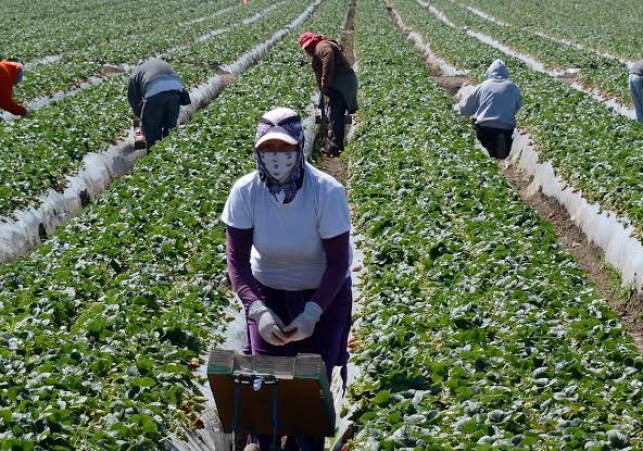 Portugal worker