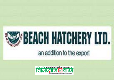 Beach Hatchery