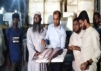 Hilsha Exported to India