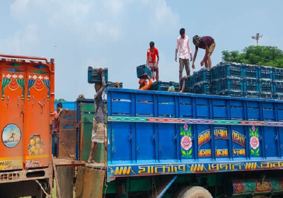 Tomatto Imported Through Sona Masjid Port
