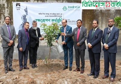 Tree Plantation