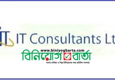 আইটি কনসালটেন্টস