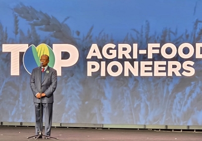 আব্দুল আউয়াল মিন্টু