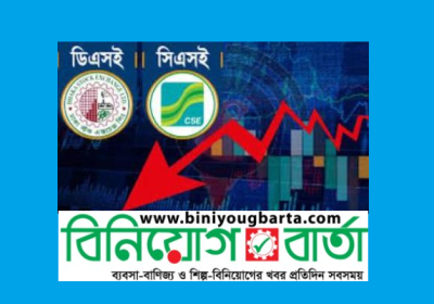 মূল্যসূচকের পতনে