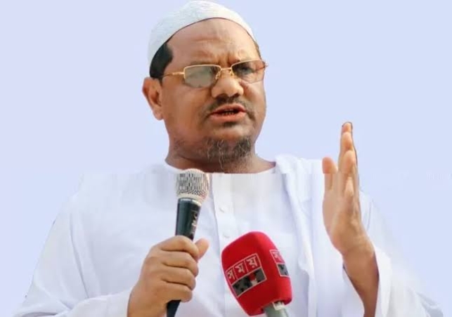 চরমোনাই পীর