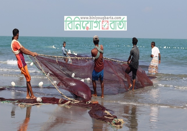 বঙ্গোপসাগরে মাছ